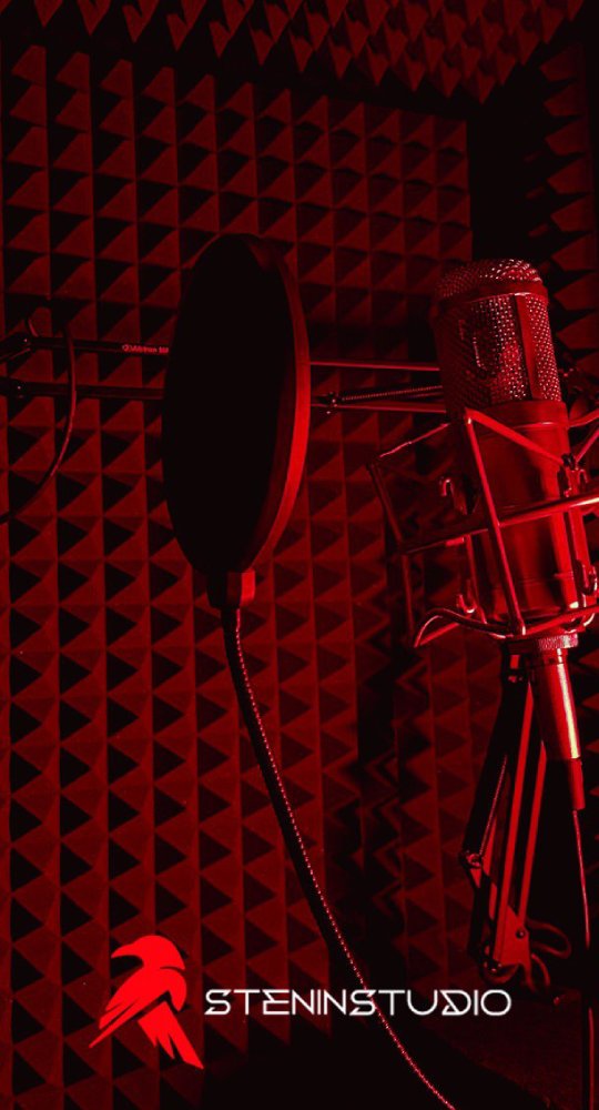 Stenin Studio - Запись вокала, Работа с звукорежиссёром